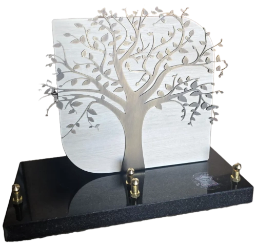 plaque-5