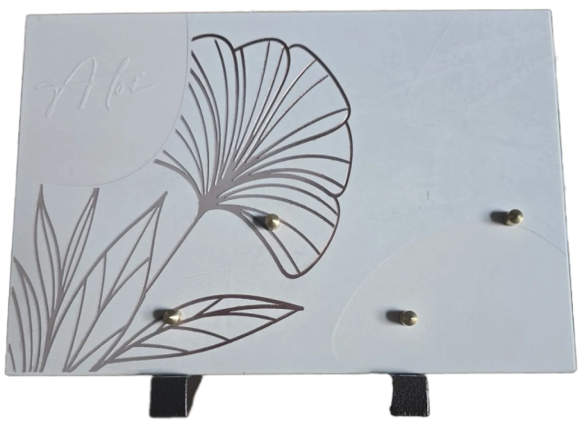 plaque-6