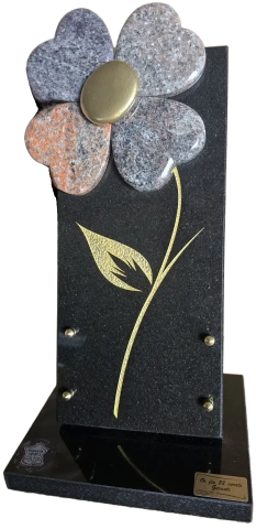 plaque-7