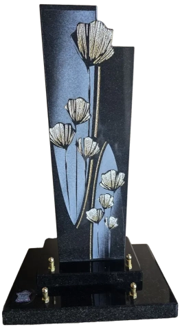 plaque-9